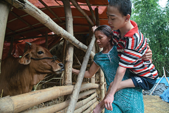 Phung Thi Tuyet carries her teenage son Tran Minh Son to see the cow they received from MCC’s partner, Vietnam Association for Victims of Agent Orange, to help with the family’s income and security. Tran Minh Son suffers from severe disabilities from birth, a side effect of exposure to Agent ­Orange, but considers the cow his own. — Matthew Sawatzky/MCC