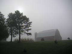 Barn in the fog