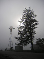 Windmill and Tree in the fog