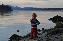 Solomon catches a fish