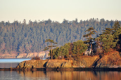 Skagit Bay in the morning