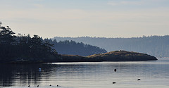 Skagit Bay