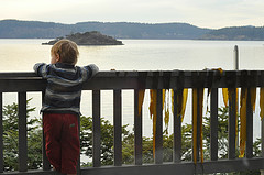 Solomon surveys the bay