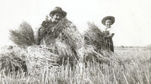 Sara (left) shocking oats with her brother John. Photo provided.